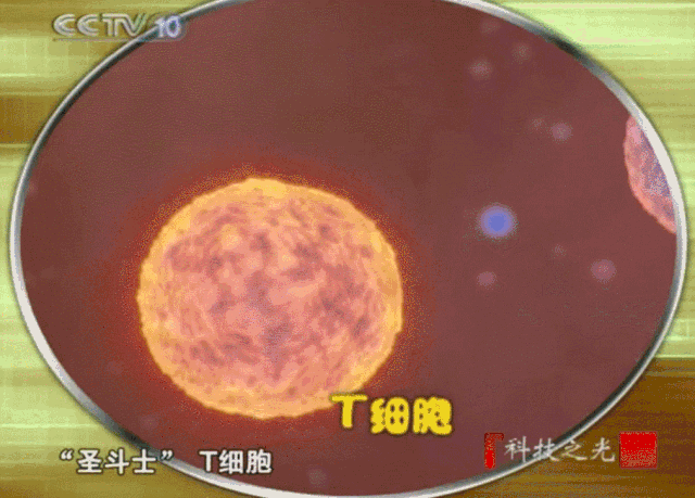 央视CCTV:癌症女孩六年多次大手术,免疫疗法助她重获新生