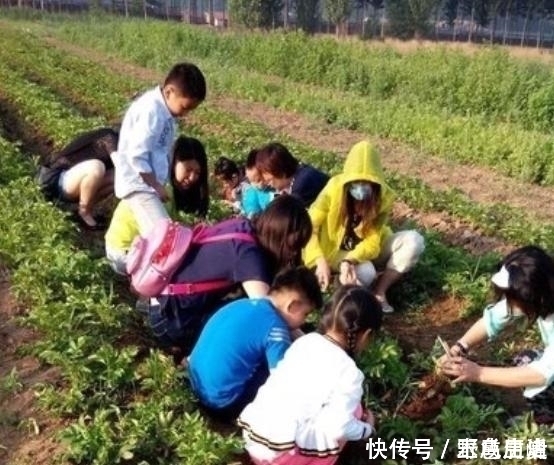 哥哥|把妹妹托付给乡下的姥姥，把哥哥给乡下奶奶，几天后，妈妈笑喷了