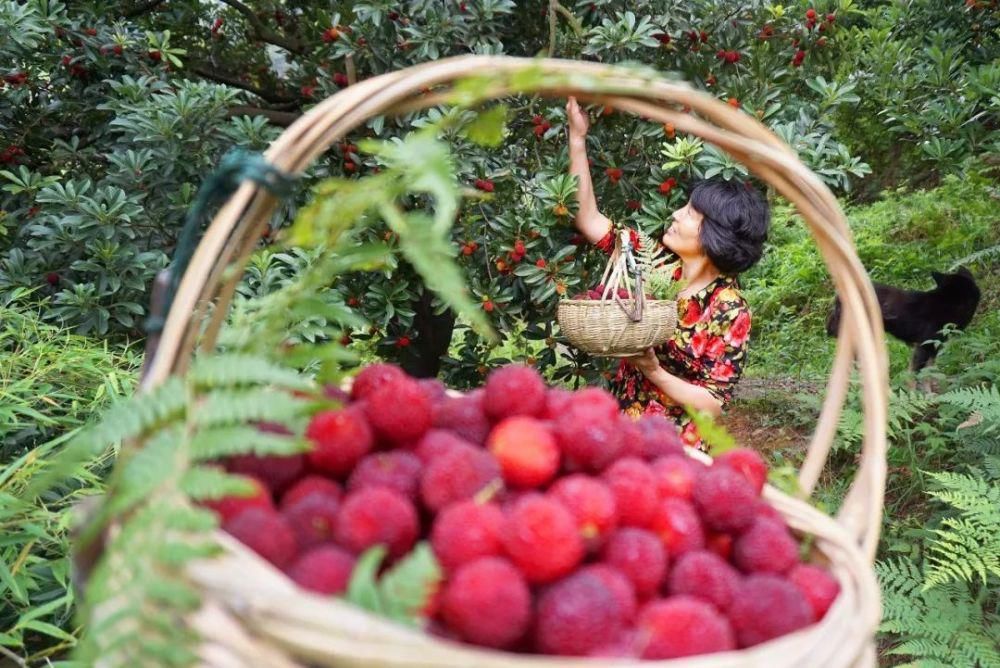带上你的“李焕英”来绍兴，让她更高兴！