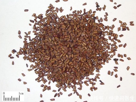 拿来|肝脏保健茶:6种药材拿来泡水,变成养肝好茶