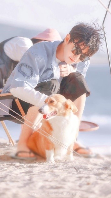 看点|''无聊''没''看点''还5亿播放豆瓣高分,王俊凯这回抓了手什么王炸