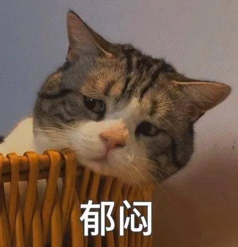 词条|幸运来了千万不要嘚瑟，不然洗出七绝不修也不会让人快乐…