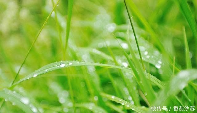 子女|人到晚年,愿意和子女一起生活吗?3个老年人说了大实话