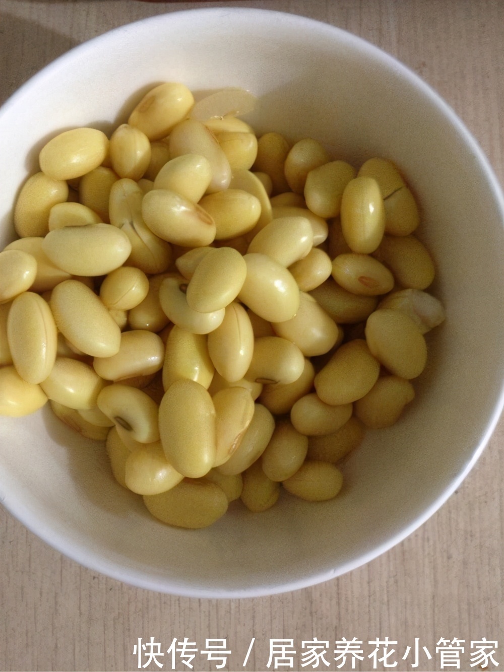 养花达人必用4种水,用完叶子油亮,不用施肥