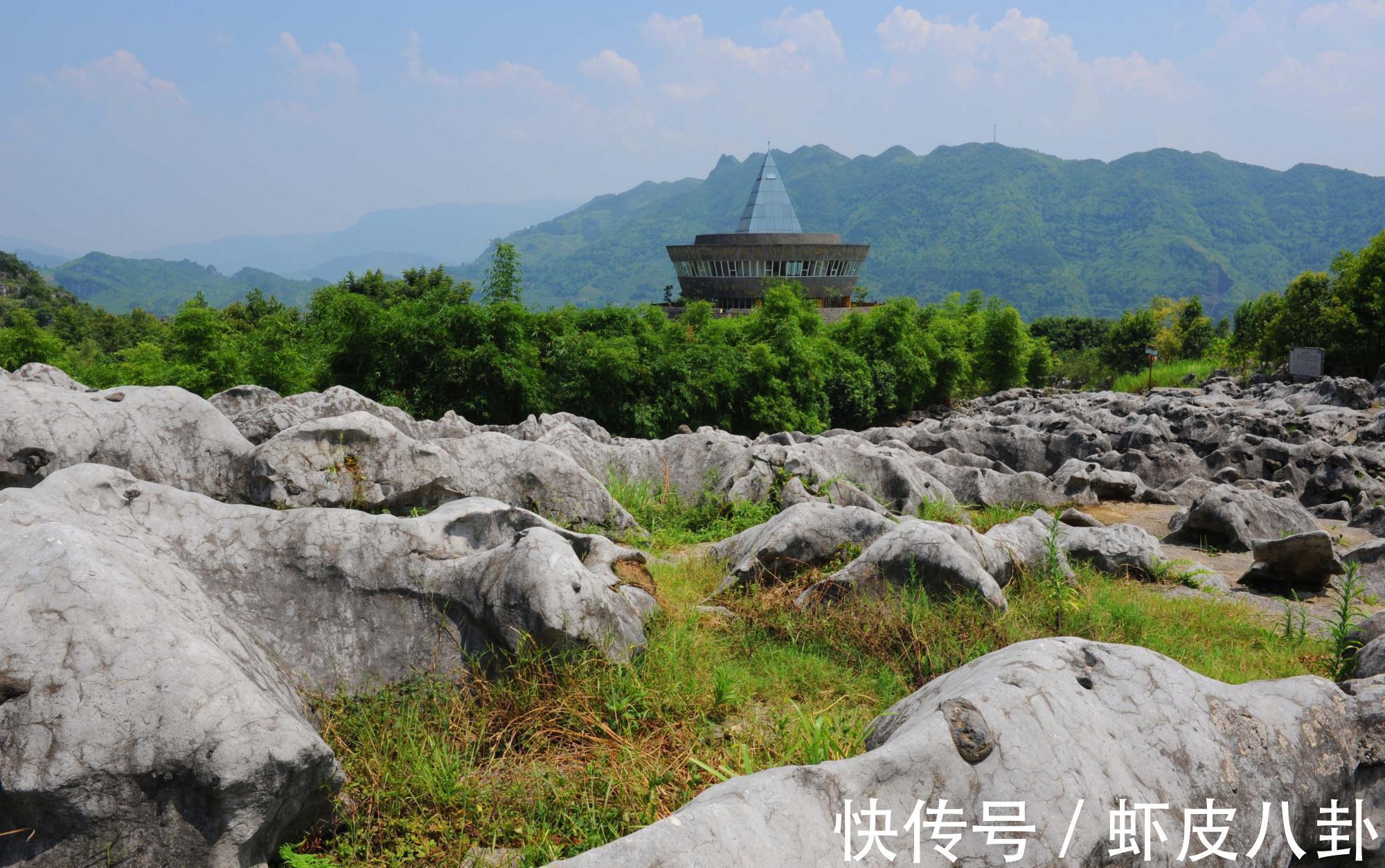 四川|四川有一景区走红，被称为“植物天堂”，距宜宾130公里