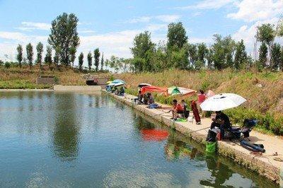 冬天想要钓到大鱼,你得学会这4个老钓手传下来的钓鱼技巧!