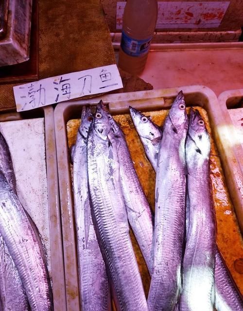 哪里海鲜好吃？