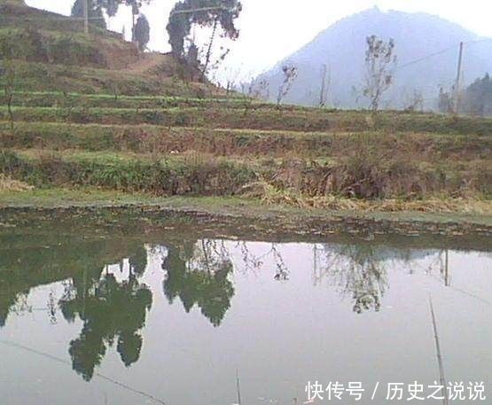 野钓鲫鱼难上钩用上这三个技巧来打窝,想不爆护都难