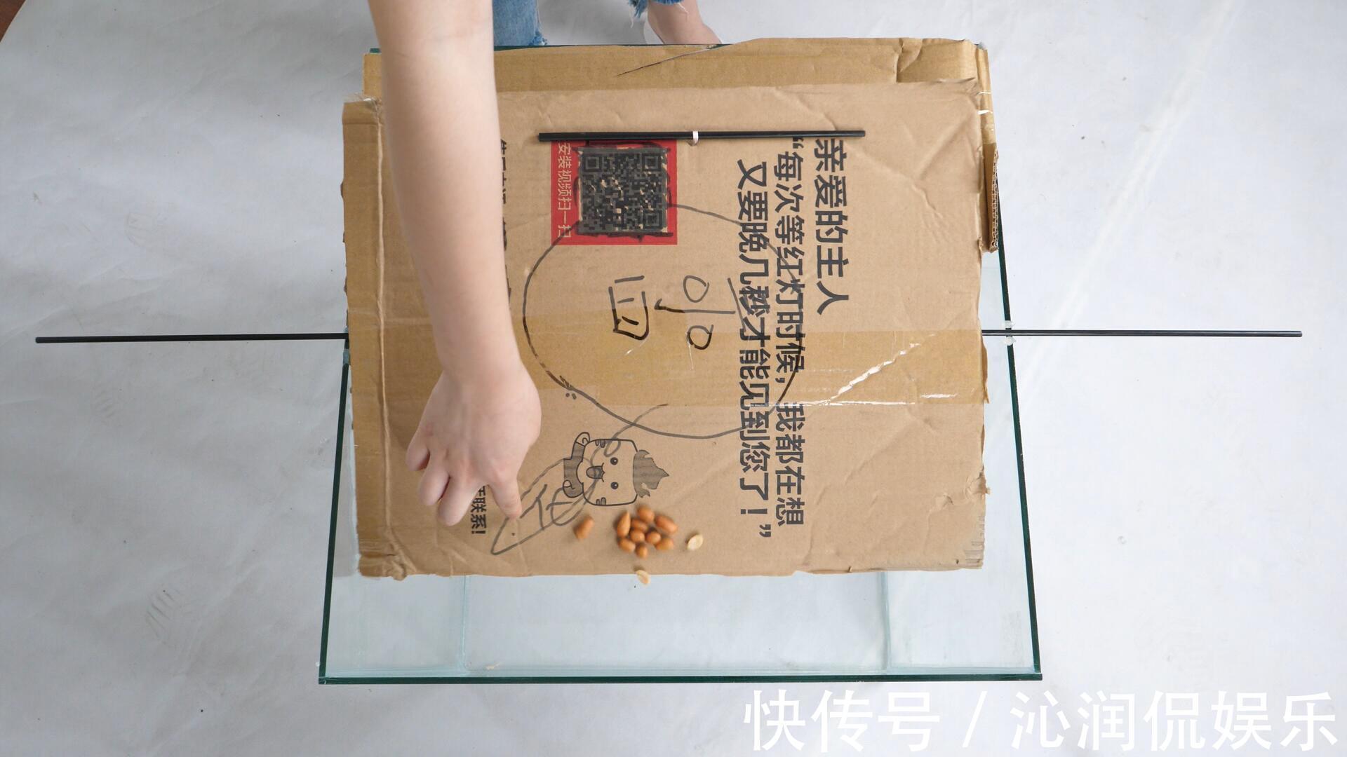 家里有老鼠别急,把它放角落里,来多少抓多少,好方法简单实用