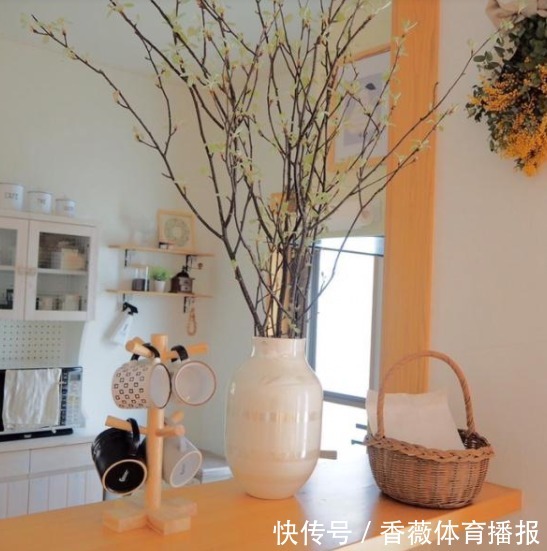 太太|不懂收纳没关系,照着日本主妇做,家里不再脏乱差,日子干净清爽