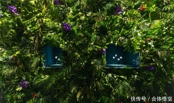 迪奥VILLA DIOR预览 呈现顶级珠宝与腕表不凡光彩