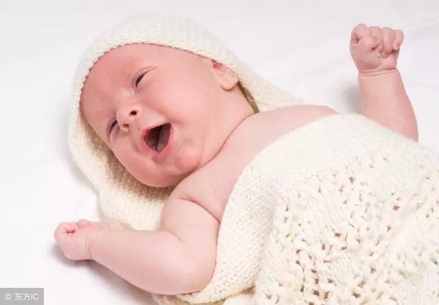 季节|一年分为四季,到底哪个季节,生娃更好呢?