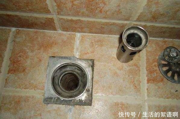 浴室地漏总反味怎么办教你一不花钱的法子，浴室从此不再有臭味！
