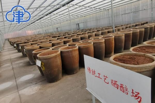 非遗&【千问千寻大运河】行走运河两岸，看天津市静海非遗“惊艳满满”