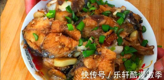 真好吃|开海后，这鱼最便宜，比带鱼肉多，比鲈鱼鲜，清炖最鲜美，真好吃