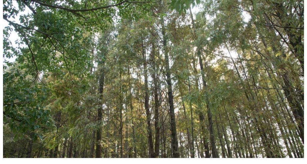 珍惜@才子在山中读书有所悟,还写了一首哲理诗,被无数人奉为至理名言