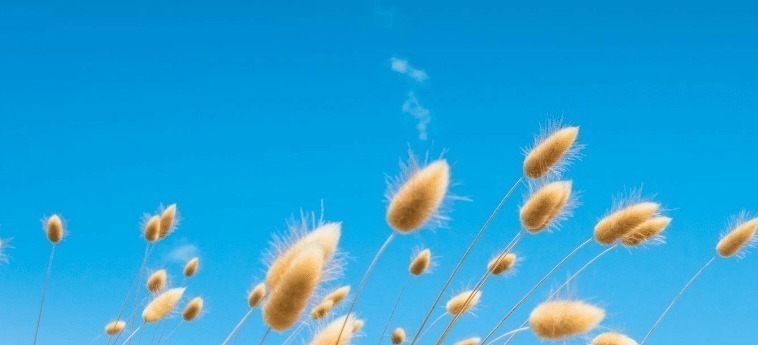 习惯&佛法真正厉害之人,一般有四个不起眼的习惯,有其一,也得祝贺!