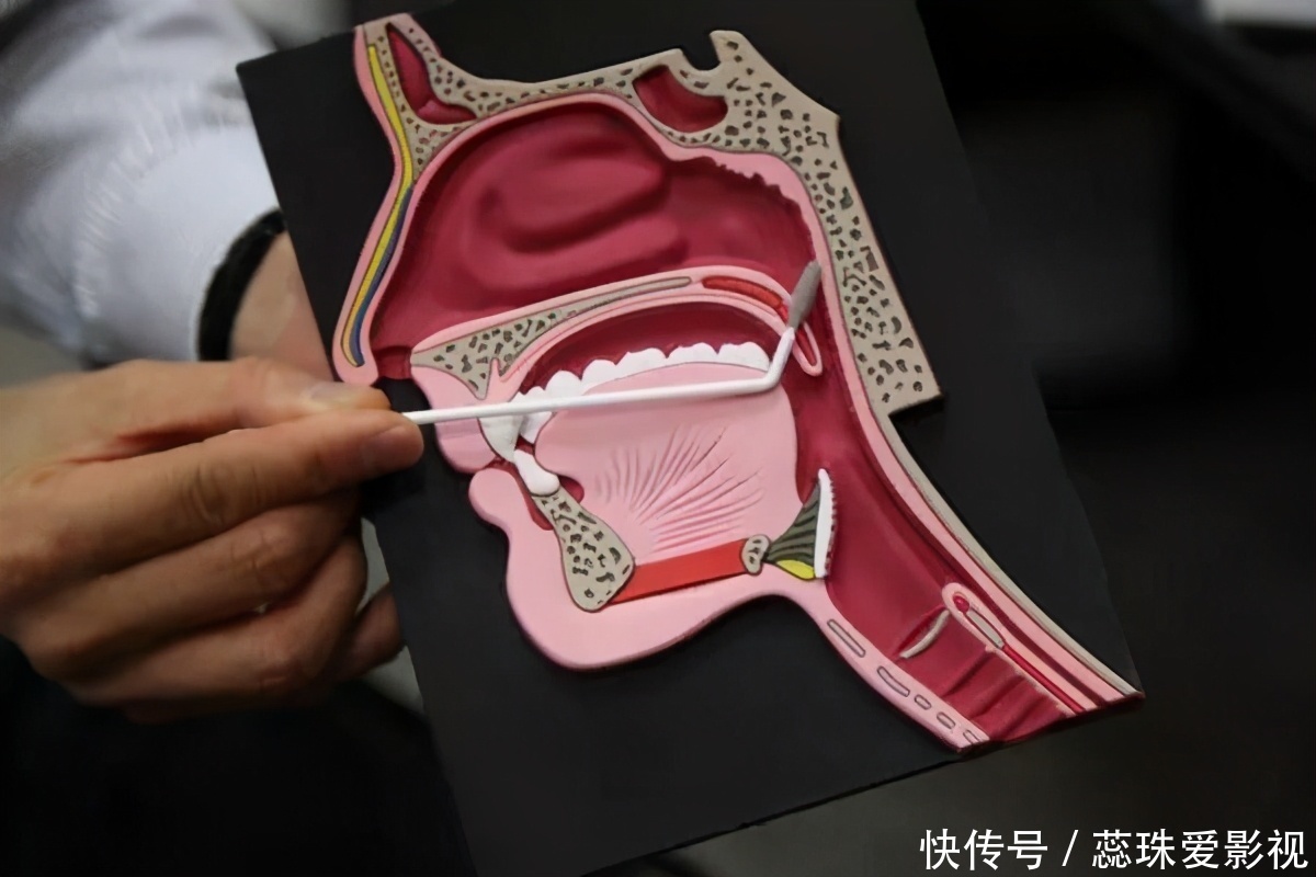 牛黄清胃丸|牛黄解毒片不仅可以下火,还能治疗六种疾病,快来了解下