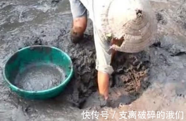 奇闻：大爷去鱼塘里摸鱼，被一个割到手，用力拔出后很意外