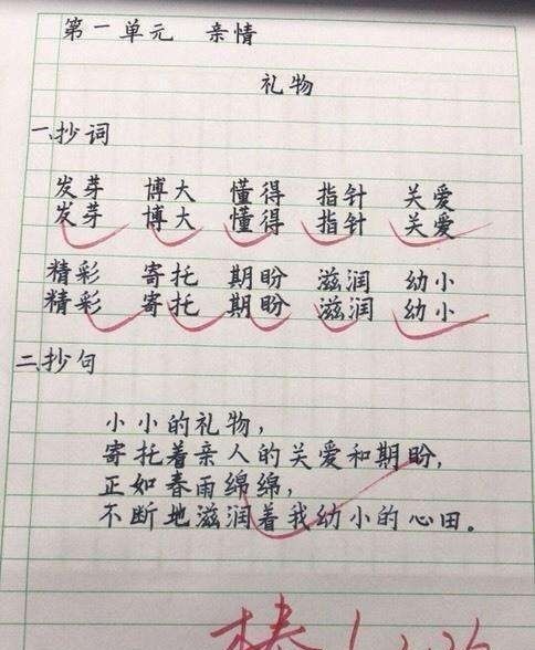 一手$一年级99分卷面火了,老师都不忍心扣分,网友:小学生也太优秀了