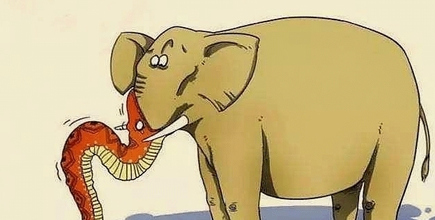 远古|《山海经》巴蛇吞象之谜:远古时期的蛇究竟有多大?真相很意外