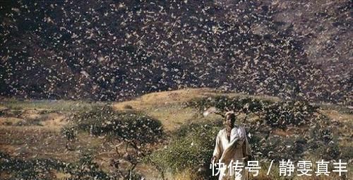 虾米@闹了蝗虫怎么办?范仲淹说:可以晒干当虾米吃 只是东南人不吃