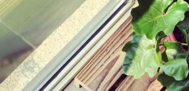 阳台|别再用老式阳台了,只需稍微改动一下,赏花赏鱼赏风景,好看极了