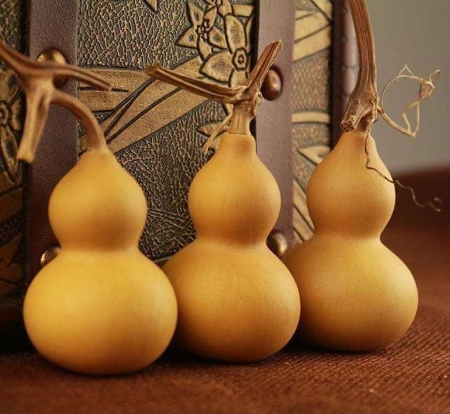 晋级|规避文玩圈的这8个“禁忌”,你也能从文玩小白,晋级为“大神”