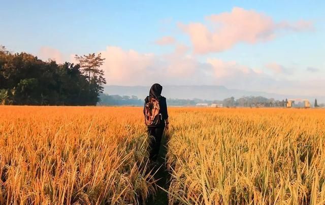 小丹$真正厉害的人,都是长期主义者