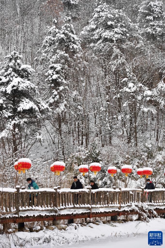 秦岭|陕西宁陕：雪后风光