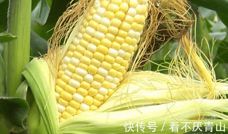 食物|议中老年人，钱别不舍得花！建议这3种食物要常吃，胜过保健品