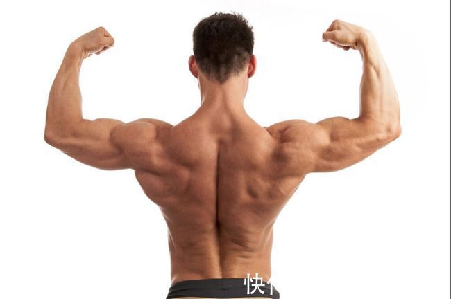 杠铃片|如何练厚背阔肌内侧?强化训练这4个动作,让你的背部肌肉更强壮
