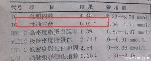 Mg Dl是什么单位