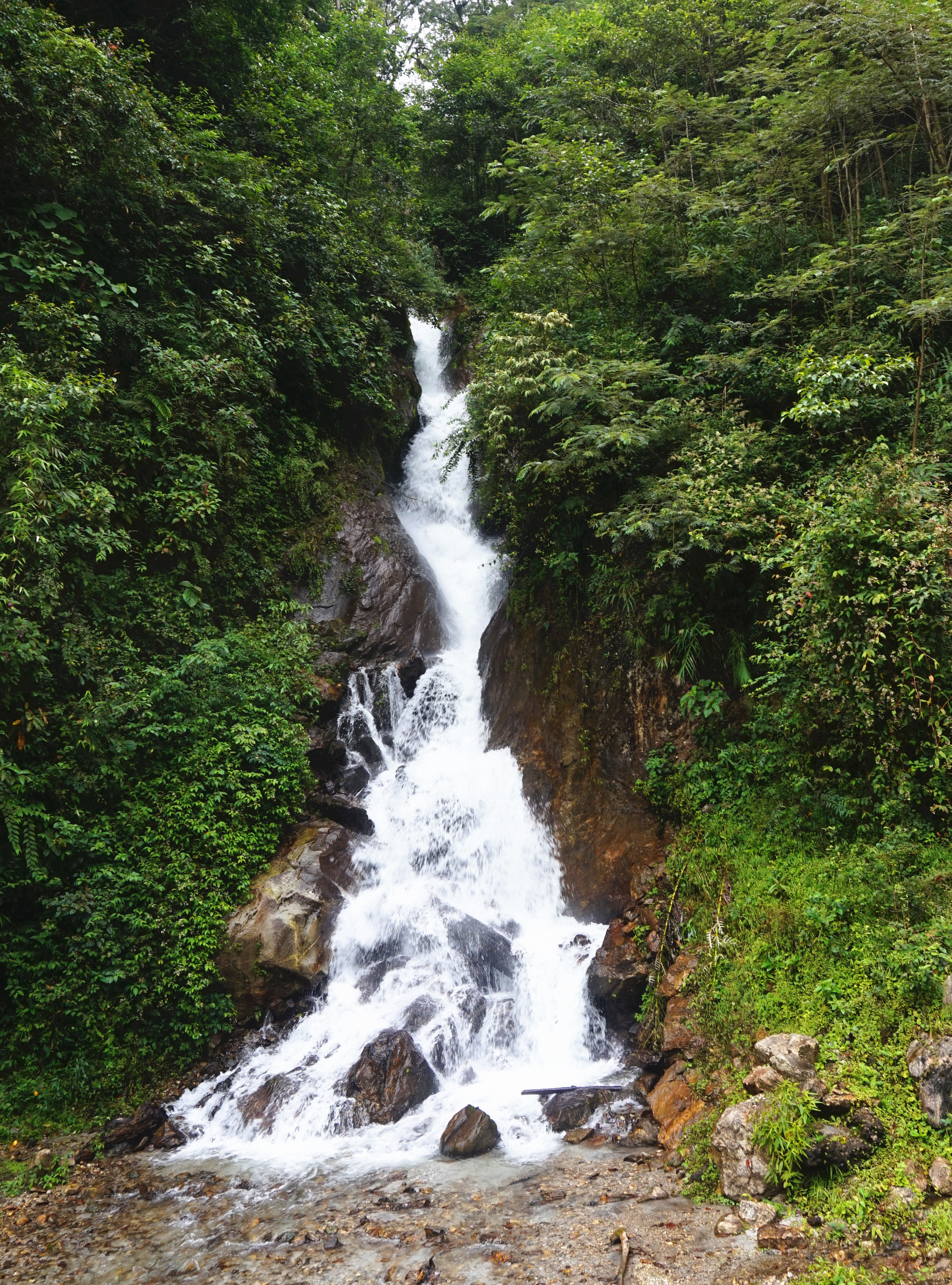 难忘的历程川滇藏青甘蒙游记32，目标莲花圣地墨脱