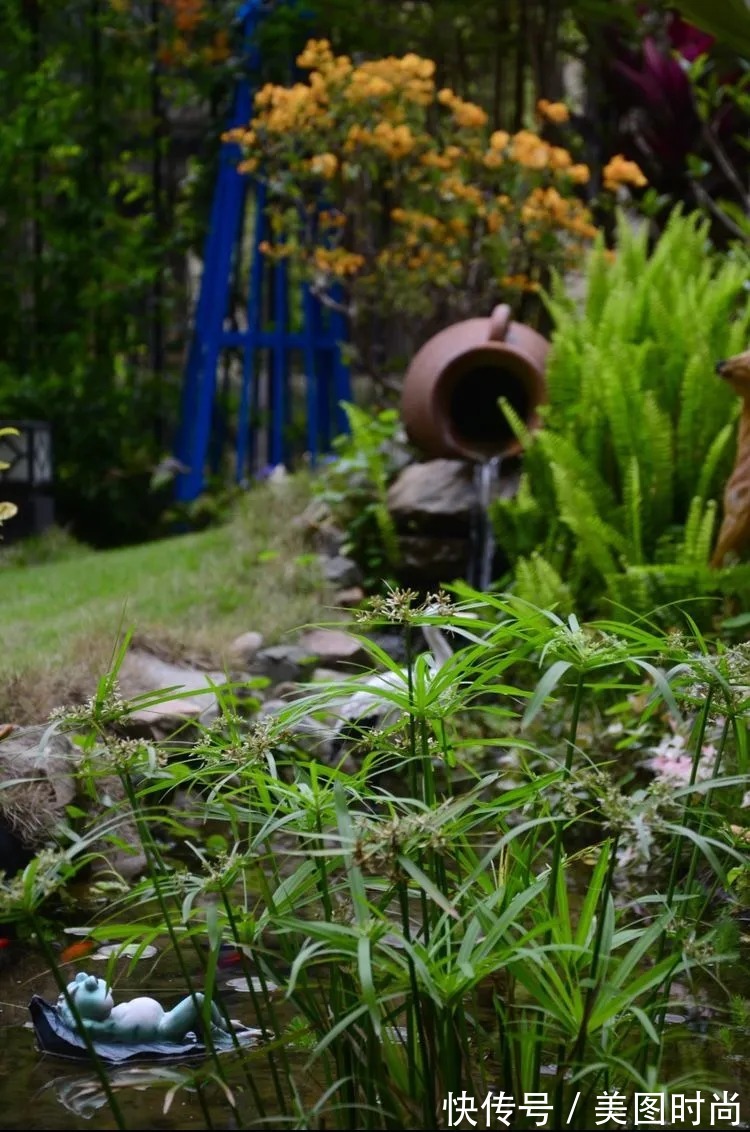 三角梅|120㎡别墅花园改造,经过三年的努力,小院从荒地到花开满园