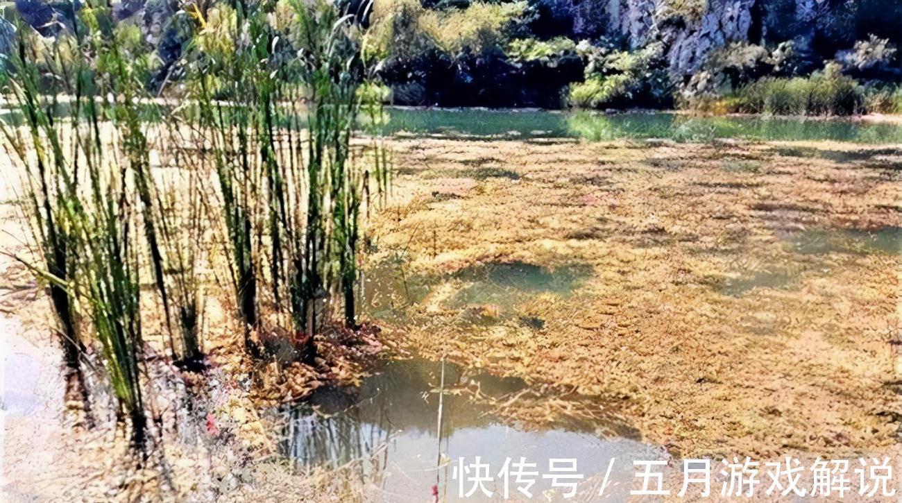 冬季野钓,你得会钓草,这三个有草的位置,草底下都是鱼