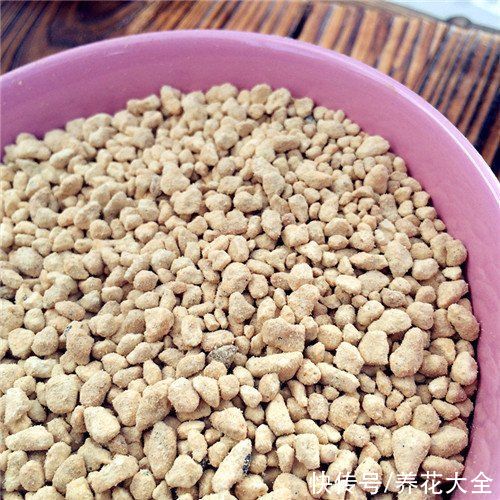 养花土里加上这5种颗粒，透气透水效果好，养花再也不烂根