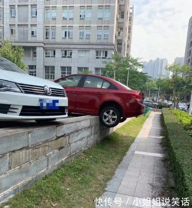 |搞笑趣图仔:相亲对象来家里做客