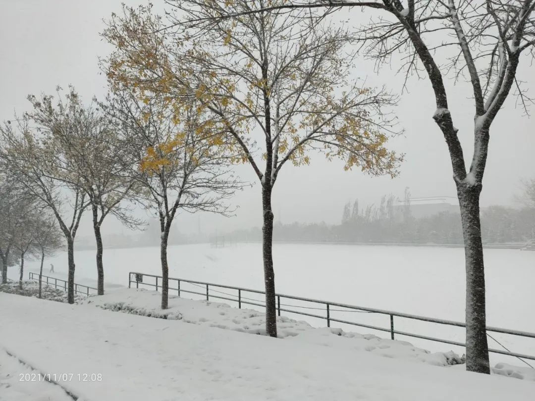 初雪|定格·山东商院的初雪