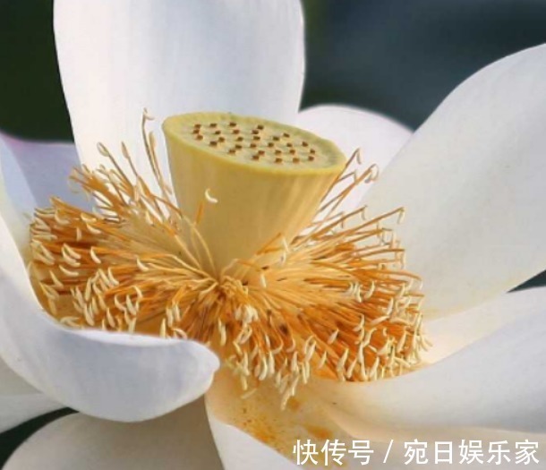 父母|孩子出生在阴历这3天,孝顺乖巧出人头地,父母享福生活美好