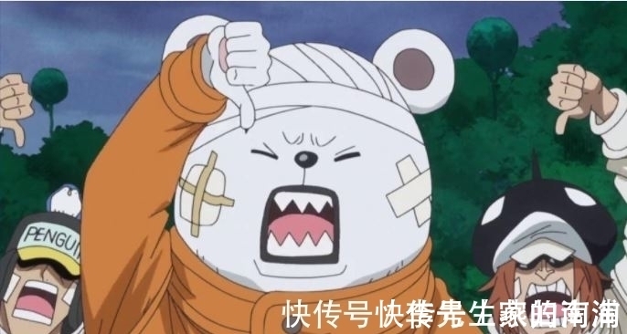 二把手|海贼王1031话情报:二把手彩页图片曝光,4大看点详细解读