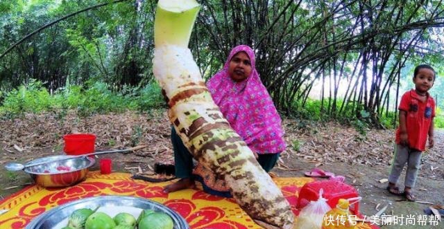 芋头|印度大妈处理变异的芋头,4根还不够吃一顿,谁手快谁就吃得多!