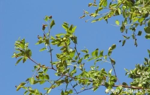 人觉着|懂得欣赏是一种美