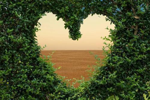 慈母|慈母多遭罪,严父易善终,别让孩子不怕你