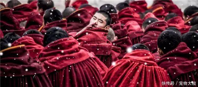 策妄多尔济那木扎勒|后噶尔丹策零时代混乱不堪的准噶尔汗廷内斗！