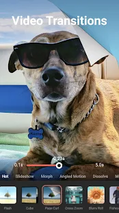 安卓视频编辑器 FilmoraGo for Android v6.3.8 中文解锁专业版