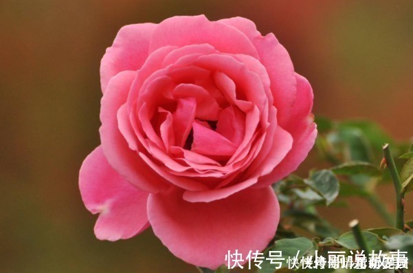 小便宜@俗话说:人贪3样,一生白忙,可惜很多人不了解,而“错失”财运