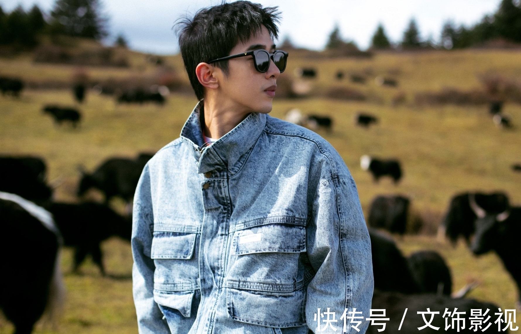 黄磊|张子枫初吻对象梁靖康来种树，黄磊放狠话，彭彭看热闹不嫌事大