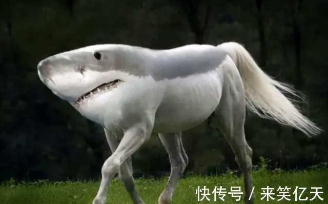 |搞笑神回复：你们省的健康码叫？