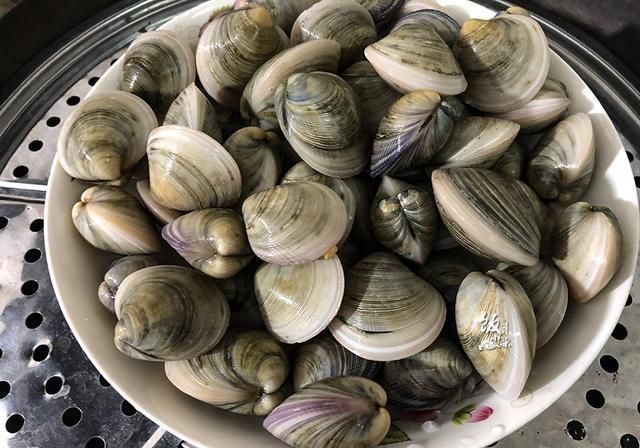 吃花蛤不如吃它,肉多肥美,才5块钱一斤,蒸一蒸,鲜嫩美味